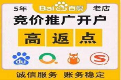 某科技公司的信息流广告投放策略与效果评估